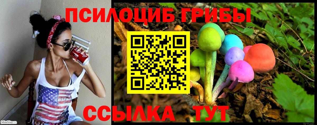 Берёзовский  Галлюциногенные грибы Psilocybine cubensis  где можно купить   Псилоцибиновые грибы Psilocybe  Вход с VPN 